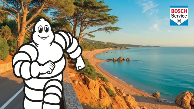 Michelin