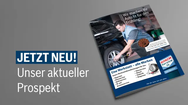 Online Prospekt