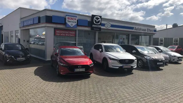 Autohaus Reinhold Efferz GmbH