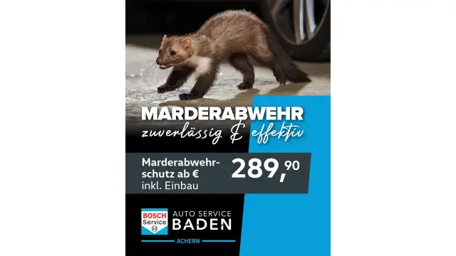 Marderabwehr und -schutz ab 289,90 € inkl. Einbau von Auto Service Baden