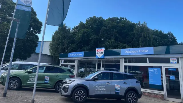 Autohaus Fricke Inh. Martina Fricke e.K.