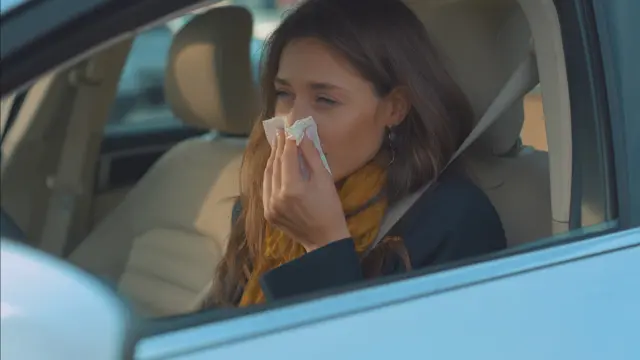  Moet u vaak niezen als u in de auto zit? 